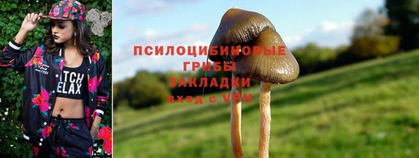 Альфа ПВП Дмитровск