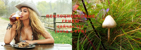Альфа ПВП Дмитровск
