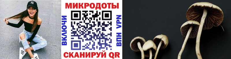 Псилоцибиновые грибы мухоморы  Купить где  Калач-на-Дону 
